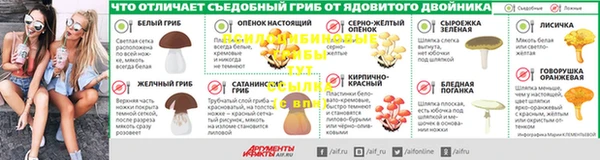 амф Богданович