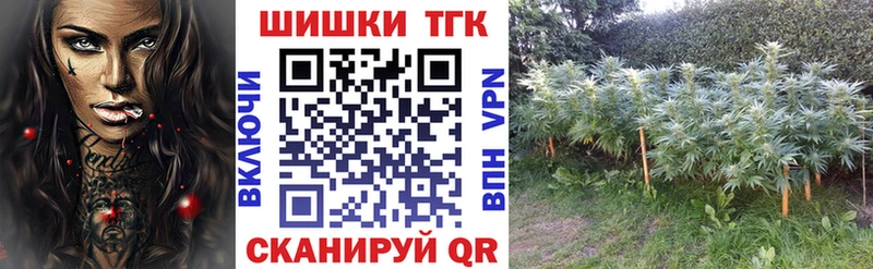 Канабис конопля Искитим